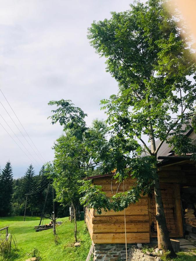 Stara Chalpa Ozna Villa Sol  Exterior photo