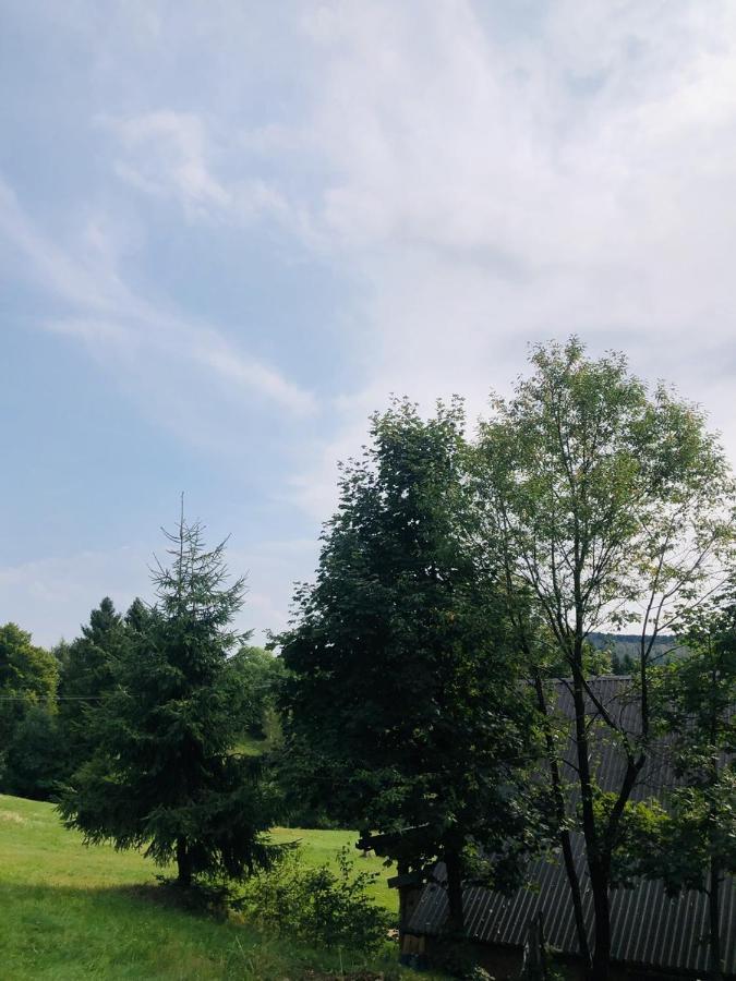 Stara Chalpa Ozna Villa Sol  Exterior photo